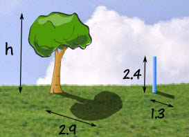 árbol proporcional
