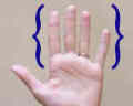 conjunto de dedos