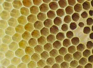 panal de abejas: hexágonos