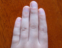 ancho de 4 dedos