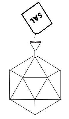 sal en un icosaedro
